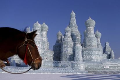Un caballo posa junto a uno de los edificios del festival de hielo.