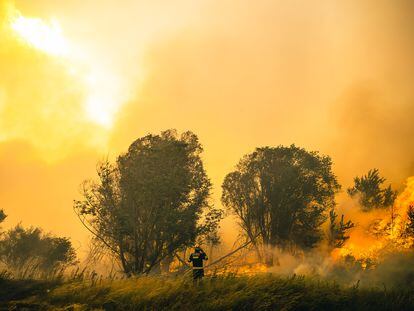 Incendio forestal en la Sierra de la Culebra en Zamora.