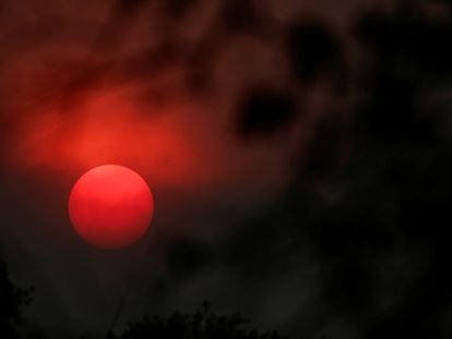 Puesta de sol a través del humo de los árboles y la vegetación quemados en el Pantanal, el humedal más grande del mundo, en Porto Jofre, (Mato Grosso, Brasil), este 16 de noviembre.