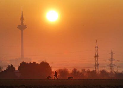 Un hombre pasea con su perro durante el amanecer en Eschborn (Alemania).