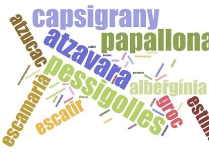 Atzavara, capsigrany, pampallugues, papallona i pessigolles, les paraules triades per la redacció d’EL PAÍS