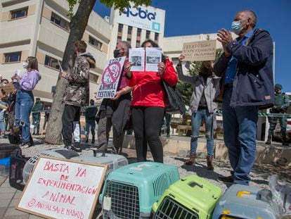 Concentración frente a Vivotecnia en Tres Cantos.