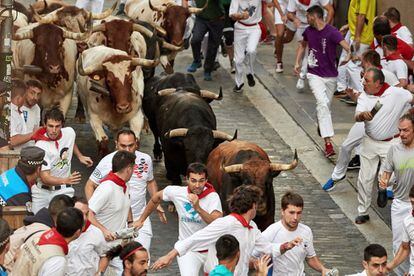 Los morlacos de la ganadería de La Palmosilla a su paso por la entrada de la plaza del Ayuntamiento de Pamplona. 