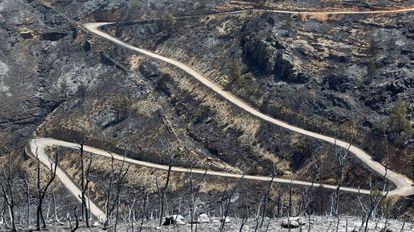 La pista forestal que va desde Teresa (Castell&oacute;n) hasta las poblaciones vecinas de Bej&iacute;s, Viver y J&eacute;rica, tras el incendio.