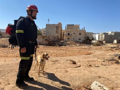 Vídeo | Así trabajan en Libia los perros de rescate de una ONG española