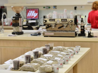 Granos de café en la planta de IllyCaffè en Trieste.