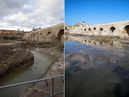 Desde la izquierda, islote de toallitas el día 19 de enero y en la actualidad la misma zona del río Guadalquivir tras su limpieza.