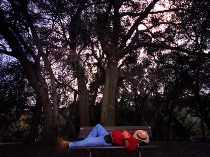 La siesta, el invento español más exportado tras la fregona: un hombre disfruta de una a la sombra de los árboles en un parque de California.