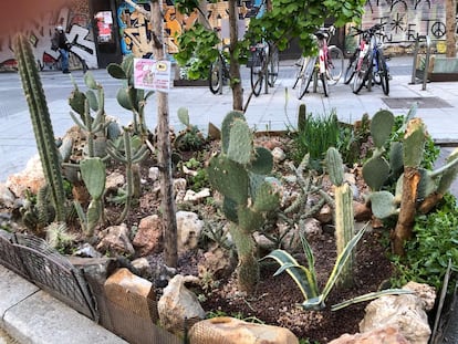 A flower bed planted by Antonio Alfaro on Calle Santa Isabel, in Madrid. 