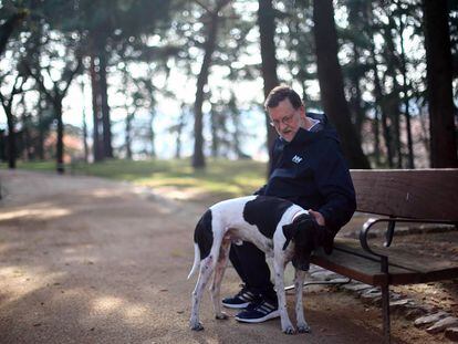 El candidato del Partido Popular a la Presidencia del Gobierno, Mariano Rajoy, pasea junto a su perro Rico por los jardines del Palacio de La Moncloa, este sábado durante la jornada de reflexión. El perro se lo regaló una vecina.