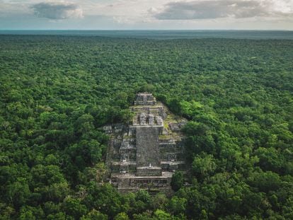 Una de las pirámides de las ruinas mayas de Calakmul, rodeada de selva.