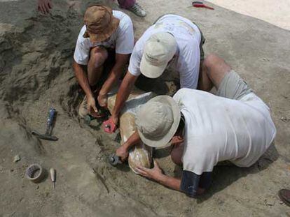 Los paleontólogos extraen un fósil de dinosaurio en el yacimiento de Andrés (Portugal).