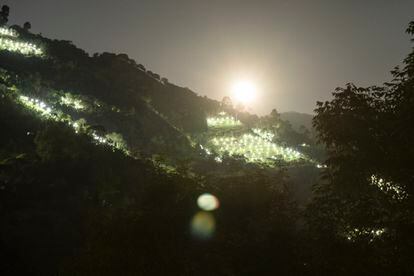 Vista nocturna de cultivos de cannabis irregulares al norte del Cauca, el 15 de Julio 2022.