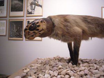 Uno de los animales del proyecto 'Fauna', realizado en colaboración con Pere Formiguera.