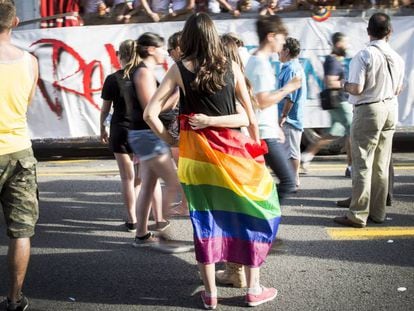 Manifestaci&oacute;n del Orgullo Gay de 2014.