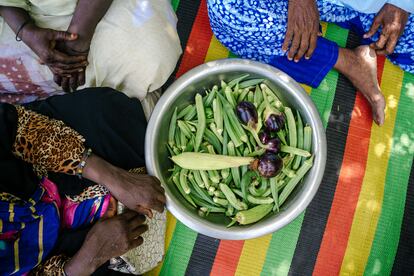 Sorgo y berenjenas cosechados en una cooperativa de mujeres apoyada por ACF en Selibaby.