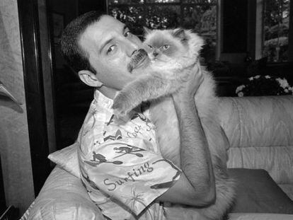 Freddie Mercury con su gata Tiffany, en su casa de Londres, en 1988.
