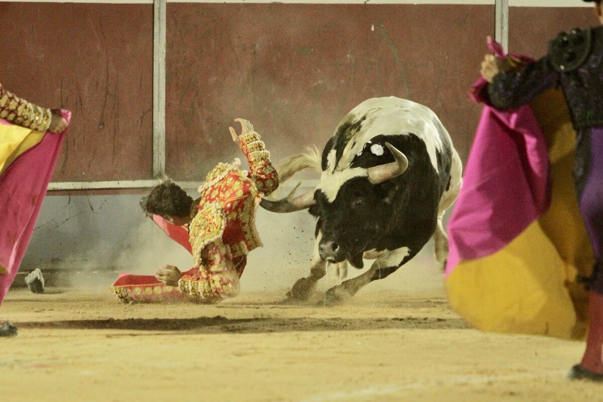 Los cirujanos taurinos organizan un festival para la formación de personal sanitario en las enfermerías | Cultura