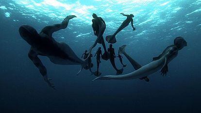 Serie documental Sirenas, emitida en DMAX