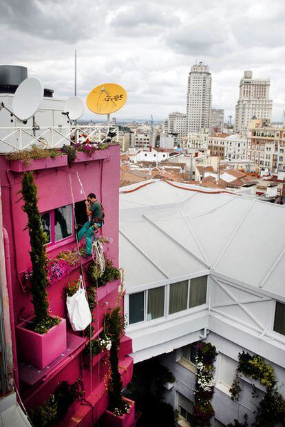 El nuevo jardín vertical del hotel Santo Domingo.