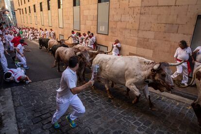 A las ocho de la mañana, 1.089 días después del último encierro celebrado en Pamplona, el 14 de julio de 2019, la manada ha partido de los corrales de Santo Domingo agrupada y encabezada por los cabestros.
