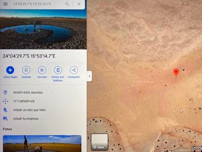 Cámara web enfocada a un estanque del desierto del Namib, en Namibia.