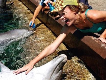 Brie Larson acaricia un delf&iacute;n en 2004.