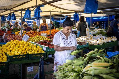 Mercado de verduras en Róterdam, el pasado mes de agosto.