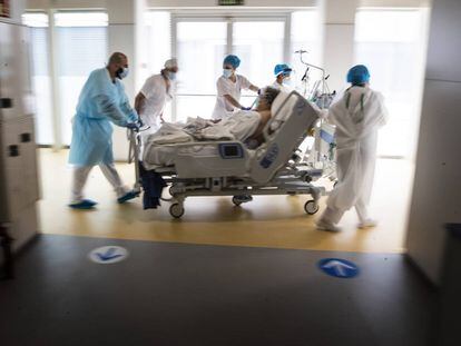 Varios sanitarios trasladan a una paciente de la zona de semicríticos a la UCI del Zendal.