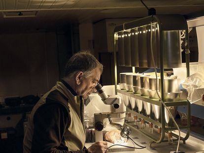 El catedrático Javier Benayas, que examina las especies invasorasde la Antártida en el buque Hespérides.