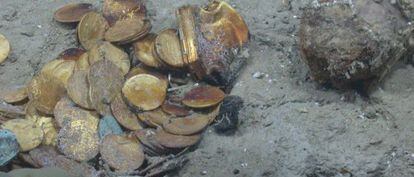 Varias monedas de oro del tesoro 'Las Mercedes'.