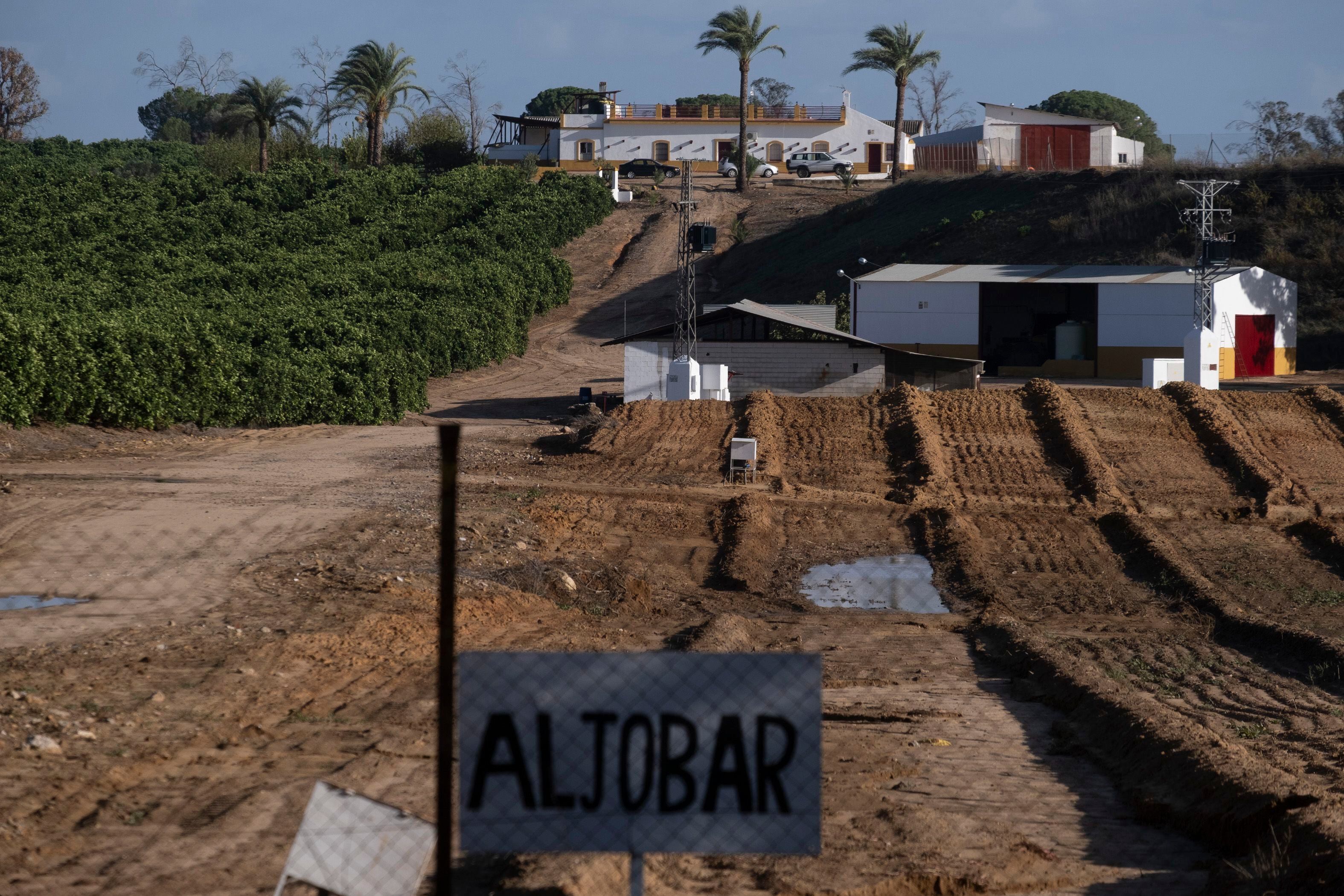 La Fiscalía pide continuar la investigación a la Casa de Alba por ochos pozos clandestinos junto a Doñana