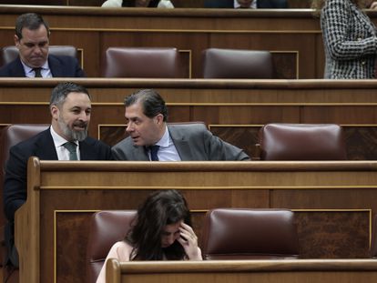 El líder de Vox Santiago Abascal (a la izquierda) conversa con el también diputado de Vox Pedro Fernández Hernández durante el pleno del Congreso de los Diputados del 29 de febrero.
