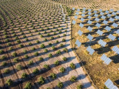 Vista aérea de un terreno con paneles solares en la provincia de Lleida.