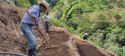 Tres trabajadores agrícolas apoyados por un programa de ACH cultivan hortalizas alternativas al maíz y al frijol en la Aldea El Sauce de Chiquimula, en Guatemala.