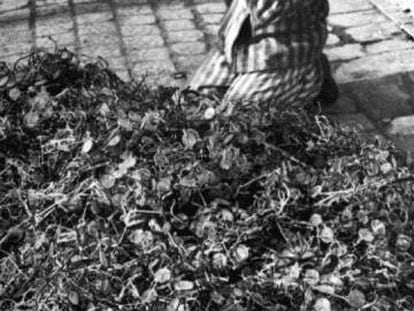 Miles de pares de gafas pertenecientes a v&iacute;ctimas del campo de concentraci&oacute;n nazi de Auschwitz, apiladas 