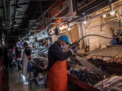 Un hombre mayor lava mariscos en un mercado de Santiago (Chile), en abril de 2020.