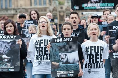 Grupos animalistas se manifiestan frente al Parlamento británico para protestar por la importación de pieles, el pasado junio.