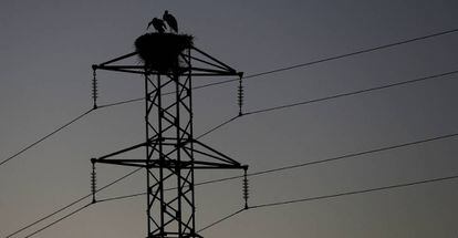 Dos cigüeñas permanecen en el nido de la torre de un tendido eléctrico. 