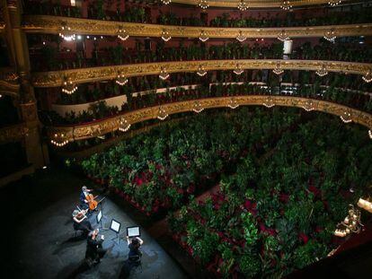 Concert al Liceu amb 2.000 plantes com a únics espectadors.