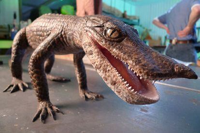 El cocodrilo rata, nueva especie fósil hallada en Marruecos capaz de correr.