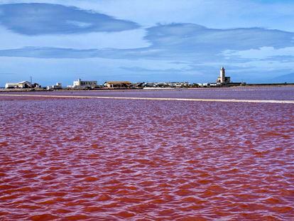 Tonalidades rojas por la precipitación de la sal marina en las balsas condensadoras de Las Salinas de Cabo de Gata