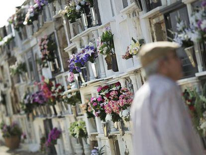 Tumbas del cementerio de Aznalcóllar (Sevilla).