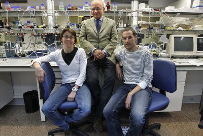 Mari Carmen Gómez-Cabrera, José Viña y Fabián Sanchís-Gomar, en el laboratorio del departamento de Fisiología de Valencia.