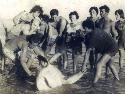 El día que cazamos un tiburón blanco