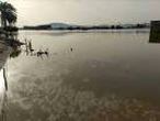 Seis muertos y más evacuaciones por la gota fría, que avanza hacia el oeste