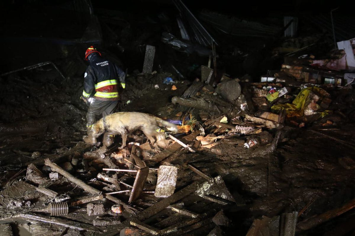 Ecuador: Un alud de lodo provocado por unas lluvias torrenciales en Quito  deja al menos 22 muertos | Internacional | EL PAÍS