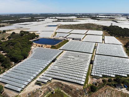 Vista aérea de invernaderos y balsas ubicados en el entorno del espacio protegido de Doñana, en el término municipal de Lucena del Puerto, en Huelva, el 12 de abril de 2023.