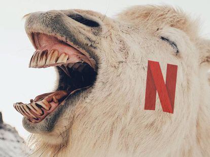 Risas rápidas en Netflix.