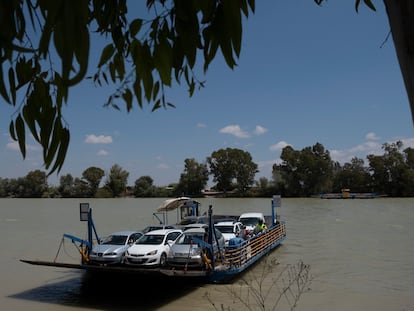 Barcaza que cruza el Guadalquivir, en Coria del Río, donde ha aparecido un brote de meningitis vírica.